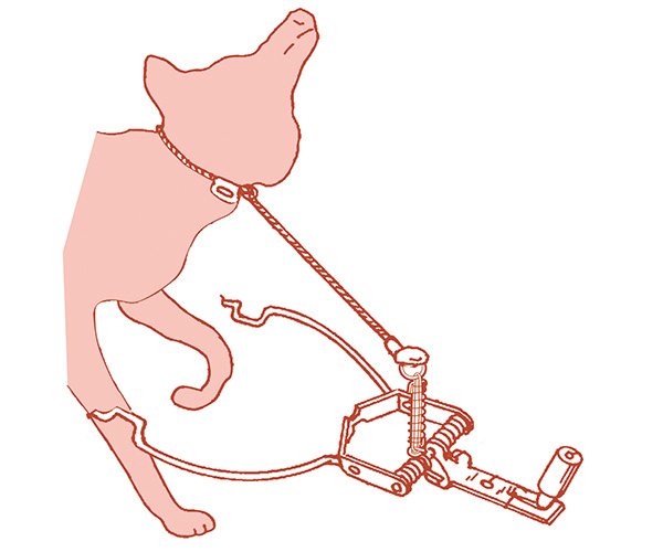 Collarum Lazo de captura para zorros y perros